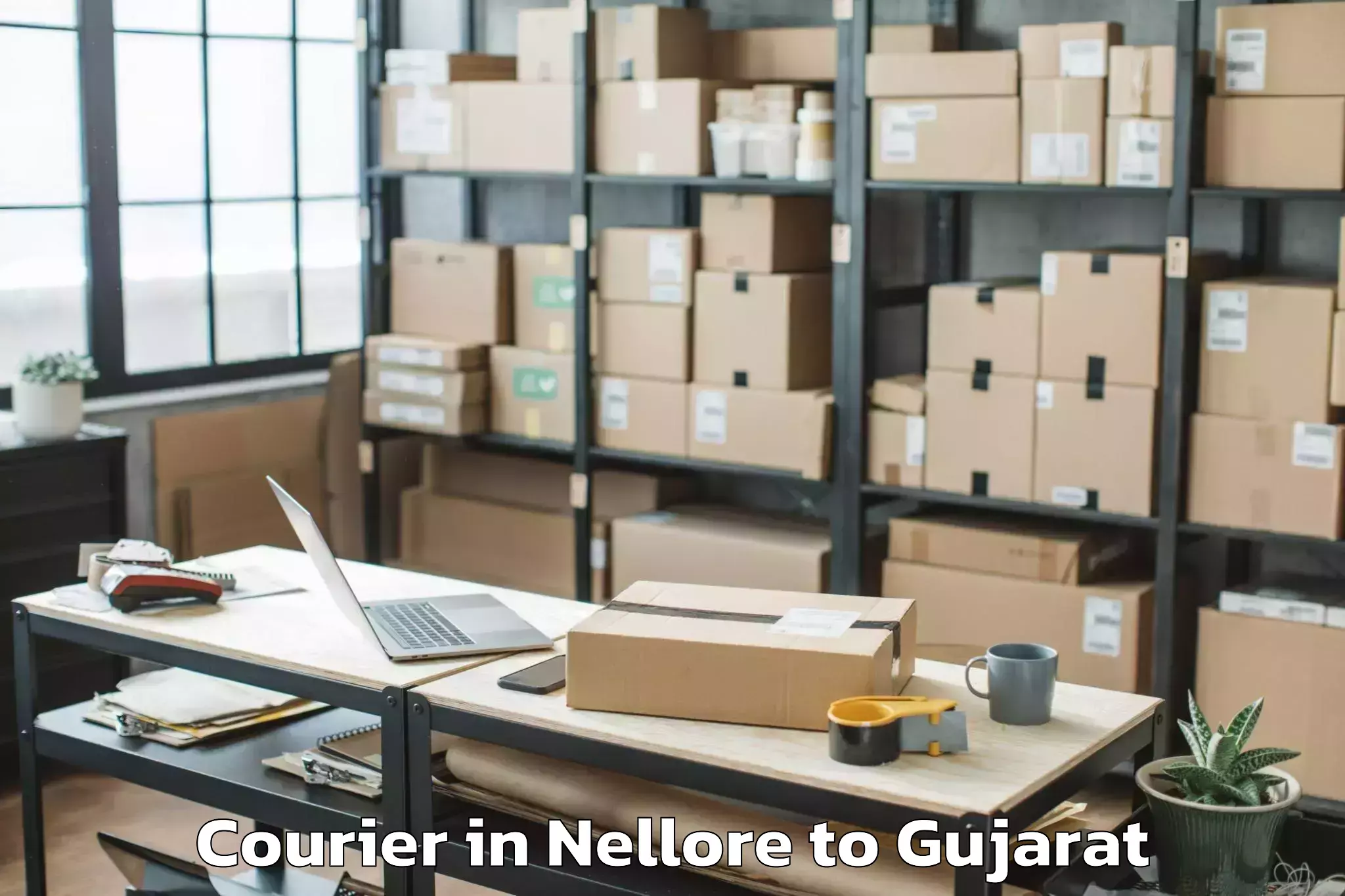 Easy Nellore to Dhoraji Courier Booking